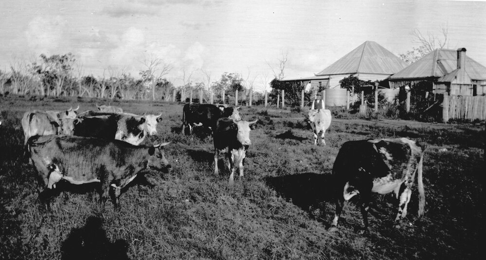 Old Riverleigh homestead, Chinchilla, circa 1908
