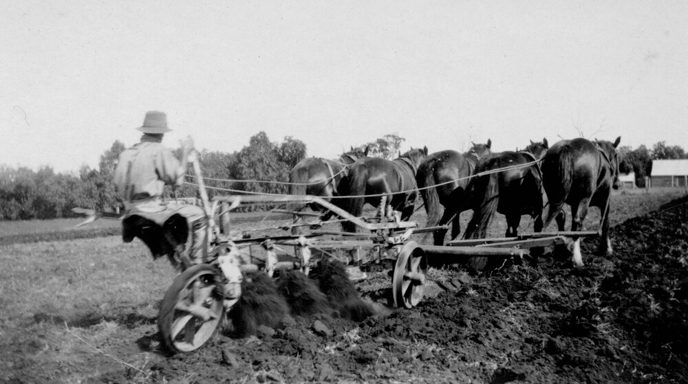 Ploughing on Riverleigh, Chinchilla, circa 1933