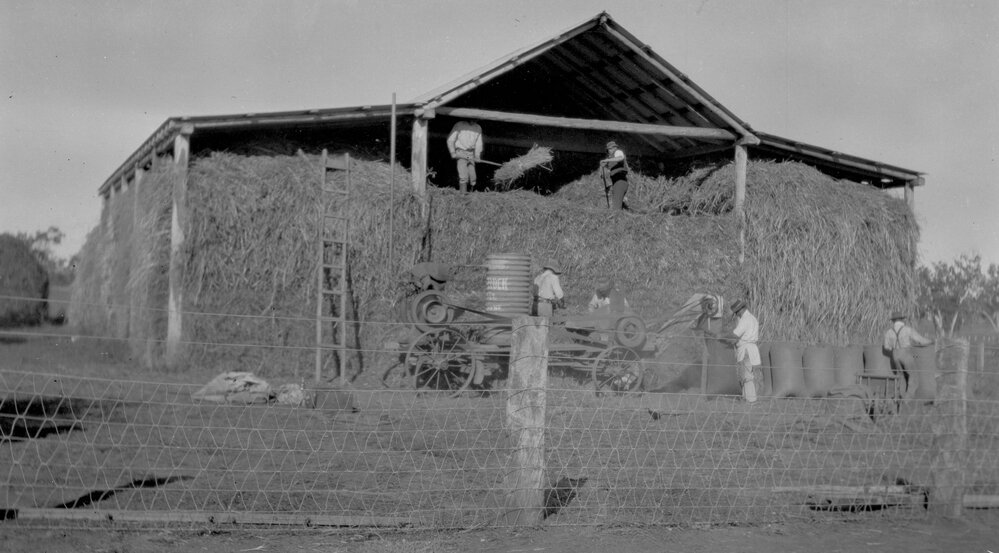 Hayshed at Riverleigh, Chinchilla. circa 1914