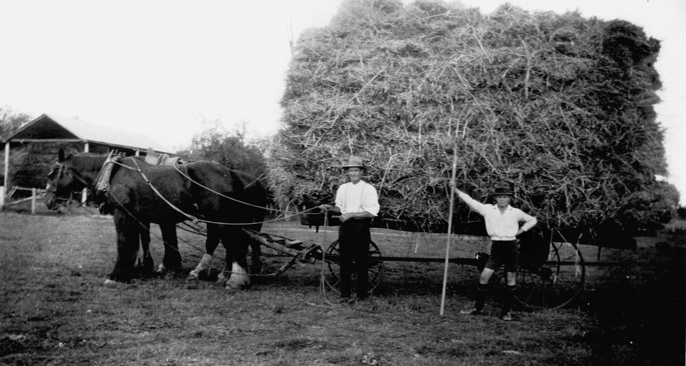 Fodder carting at Riverleigh, Chinchilla, circa 1930
