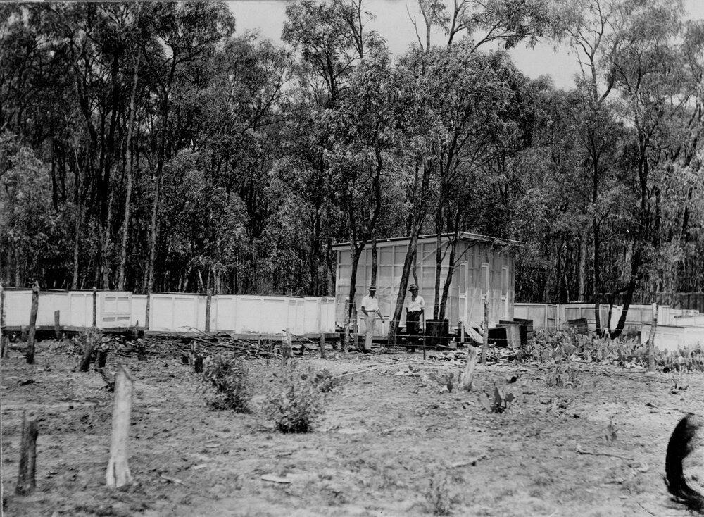 Commonwealth Prickly Pear Field Station, Chinchilla, circa 1930