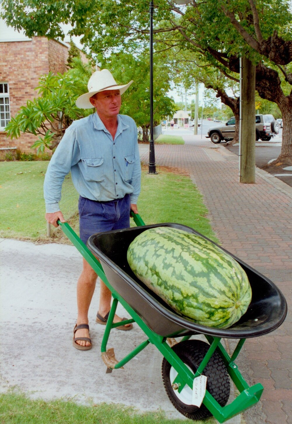 Denis Dickman with his watermelon at the Chinchilla Melon Festival, 2001