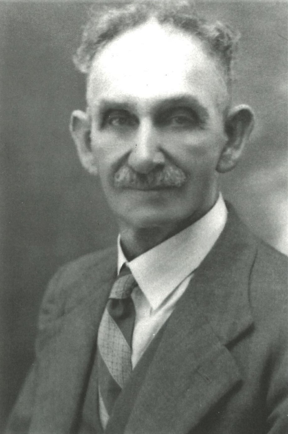 Chairman George Gilbert Wood, Chinchilla Shire Council, 1917-1919