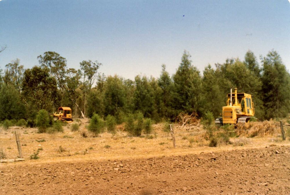 Land clearing, Moonie, circa 1980