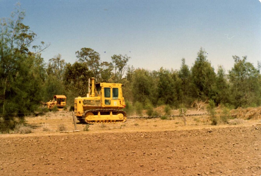 Land clearing at Moonie, circa 1980