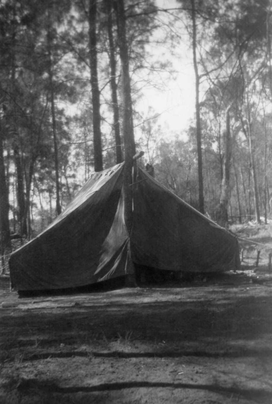 Tent accommodation at Moonie, circa 1960