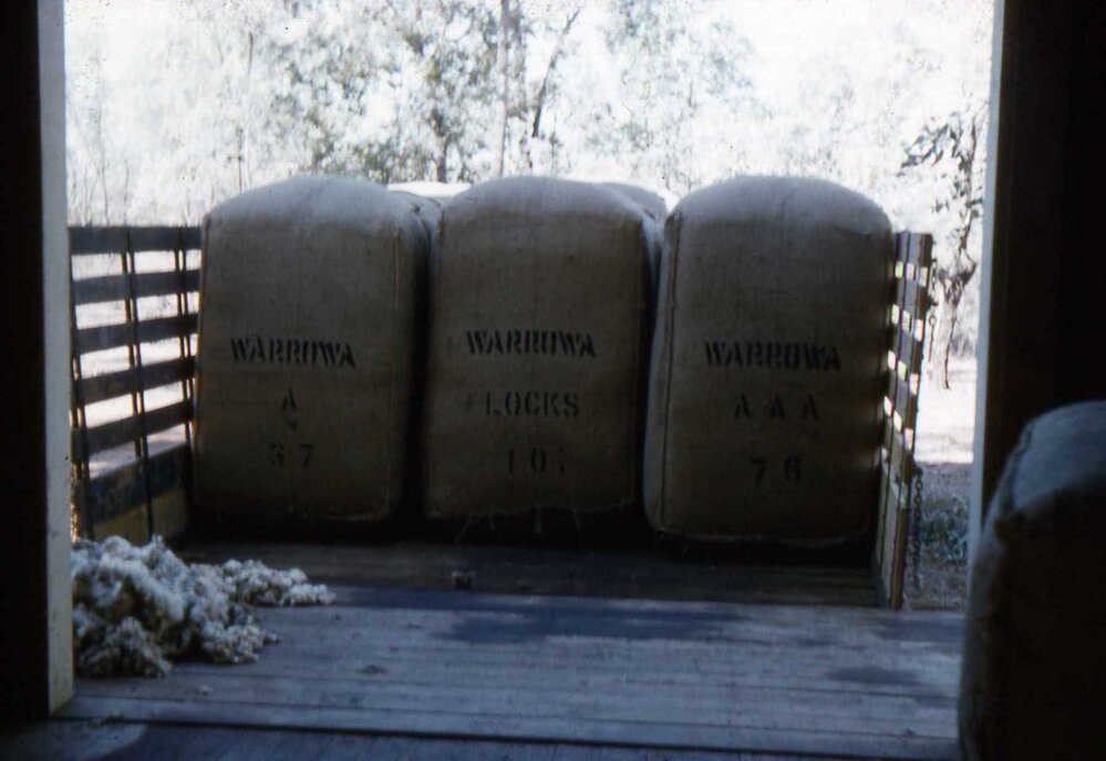 Wool bales on Warrowa, Moonie, circa 1960