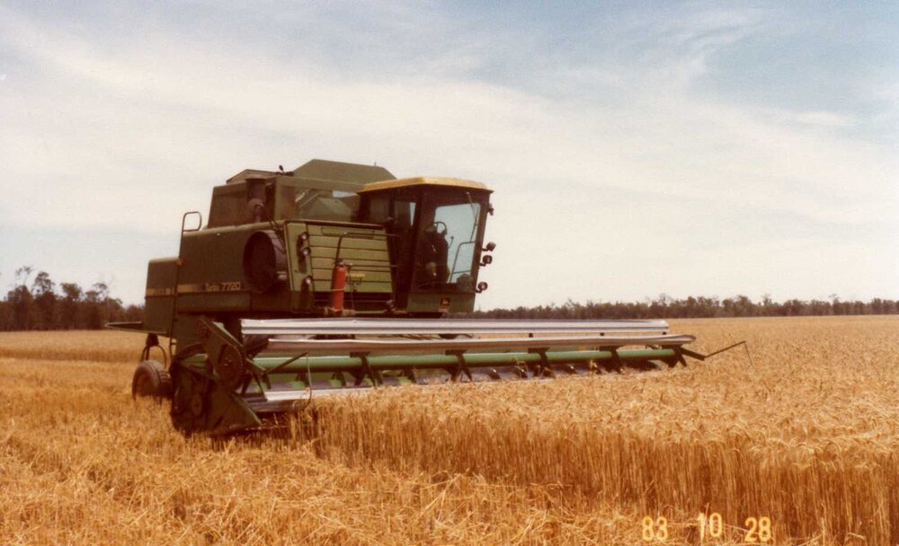 Harvesting wheat, Moonie, 1983