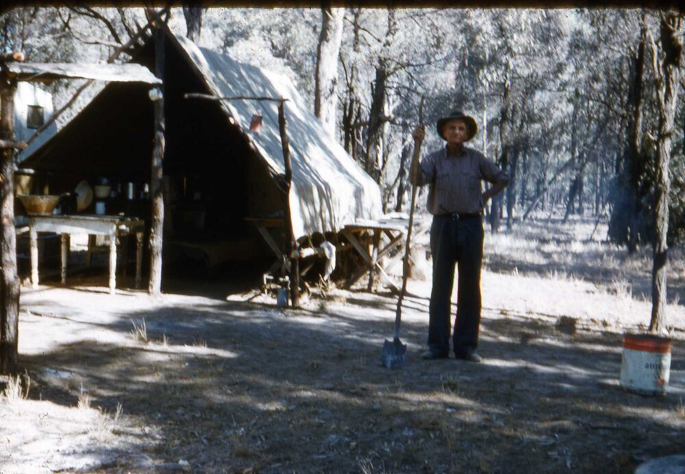 Ringbarker's camp on Warrowa, Moonie, circa 1960s
