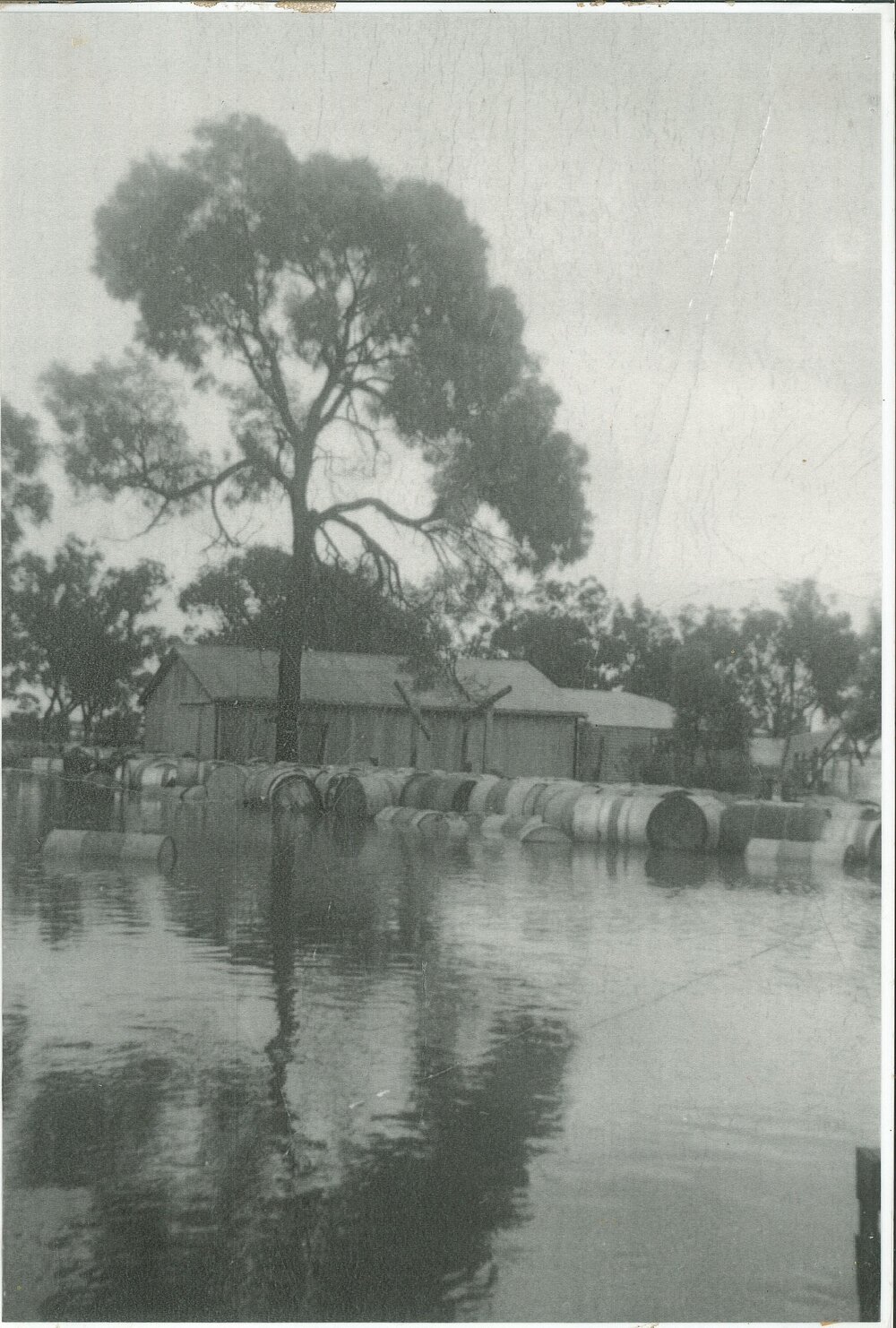 Unknown flooded location near Meandarra, 1956