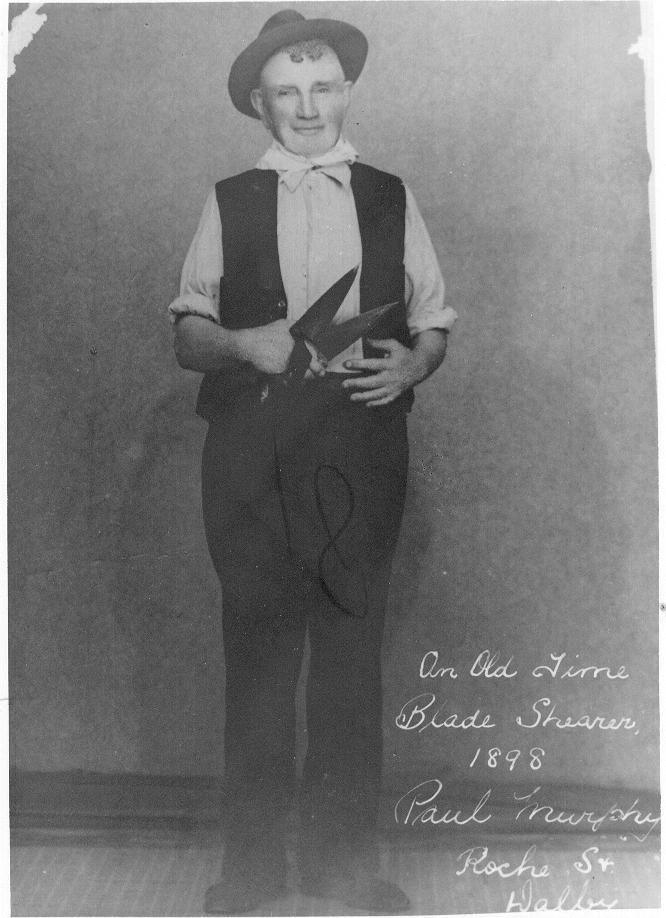 Unknown blade shearer, Dalby, 1898