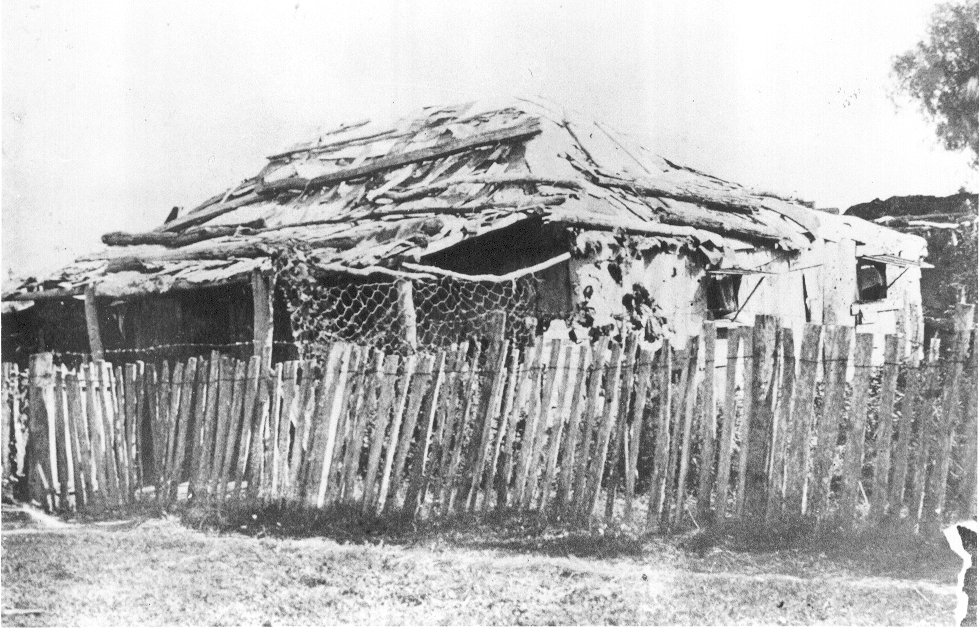 Last Bark Hut in Dalby, 1914