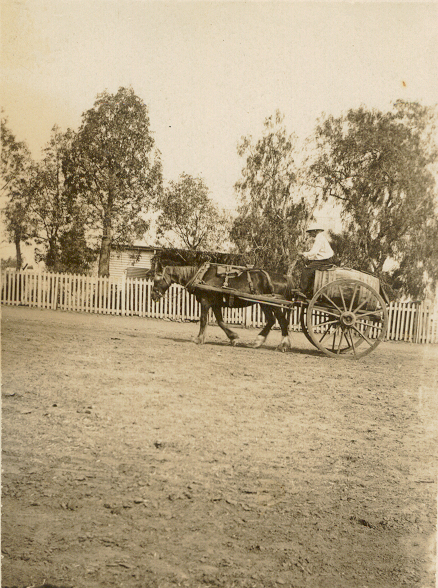 John Healy and his water cart, Dalby, circa 1864