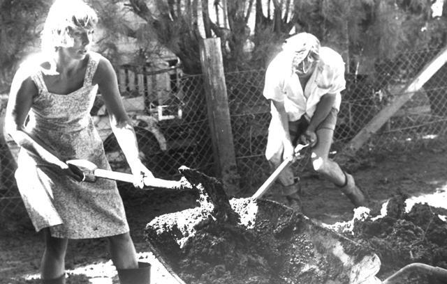 Dealing with the aftermath of the floods in Dalby, 1981