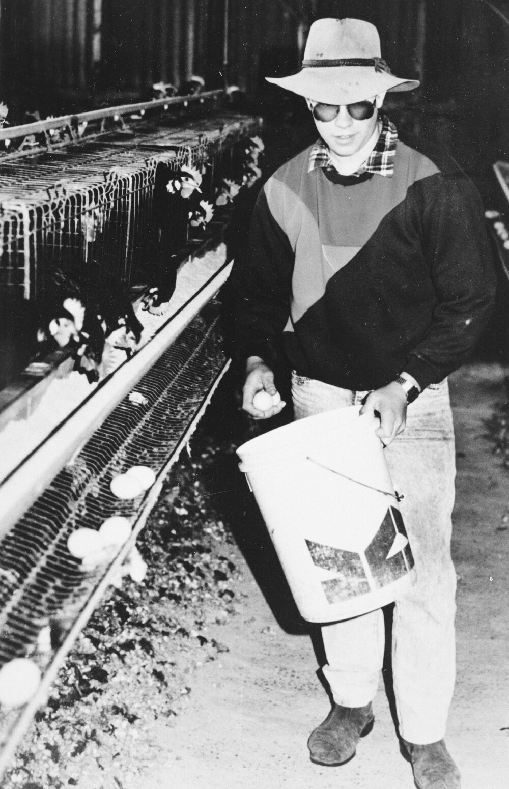 Man collecting eggs, no location, no date