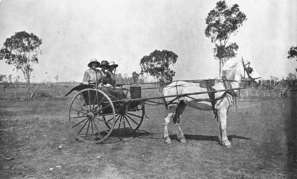 Three ladies in a buggy, no location, no date