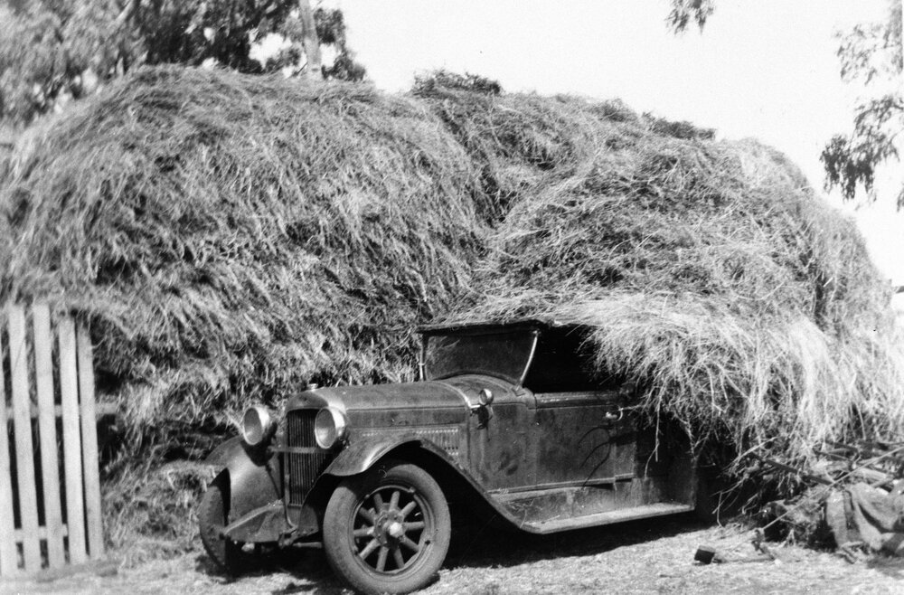 Hay carting at Jimbour, 1945