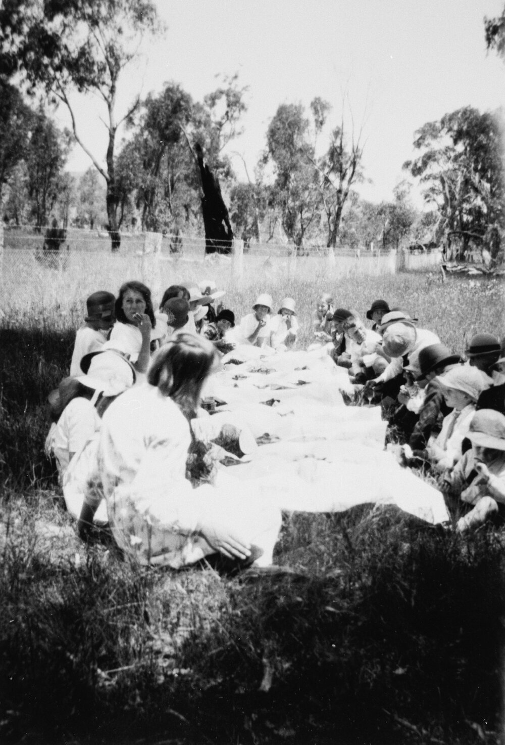 Picnic in the paddock, no location, no date
