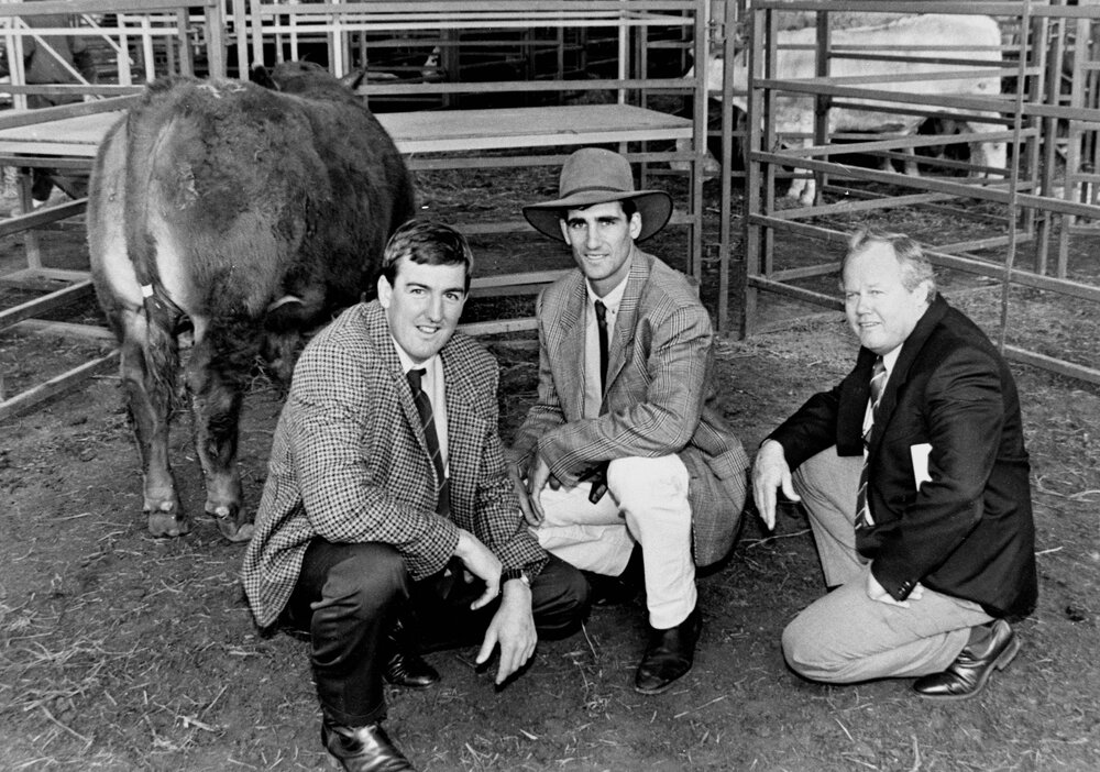 Three men at the saleyards, Dalby, circa 1990s