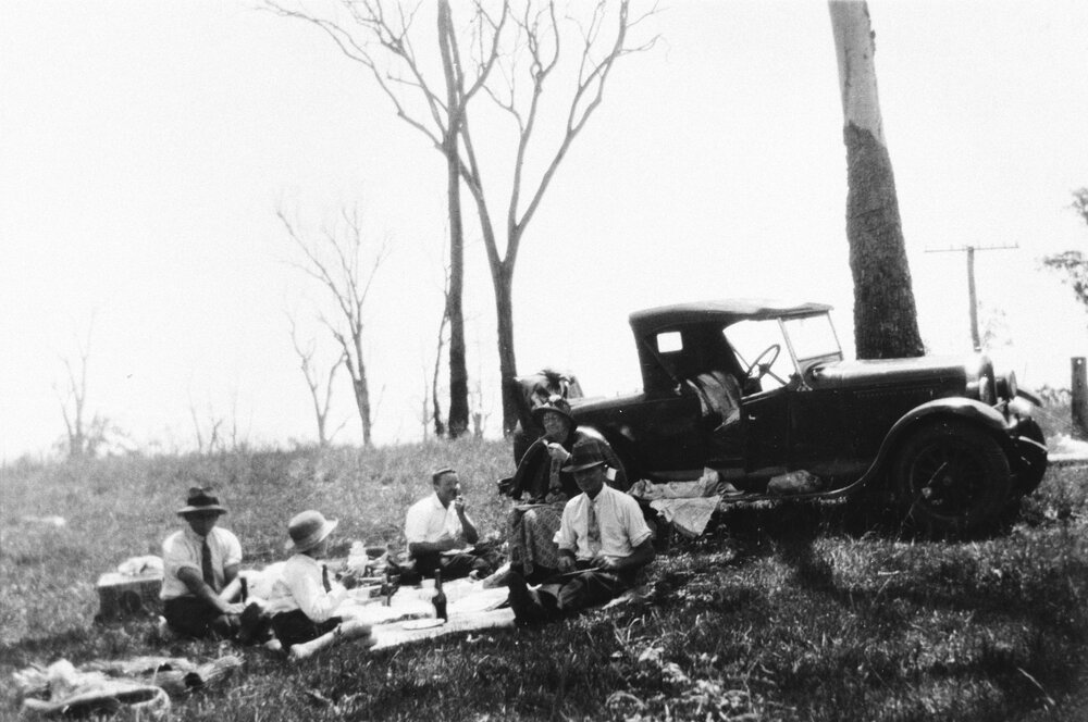 A picnic, no location, no date