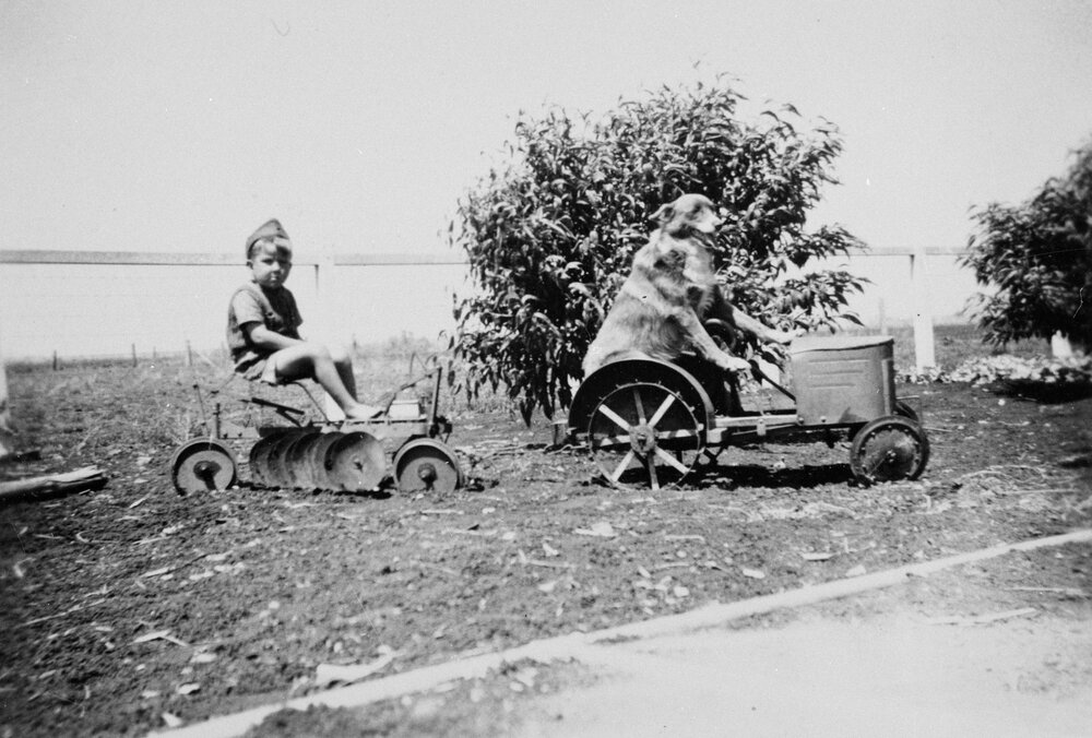 Boy &amp; dog, unknown location, no date