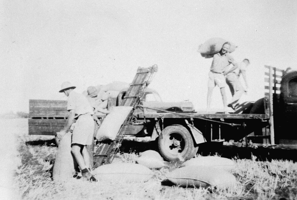 Bagging grain, unknown location, no date