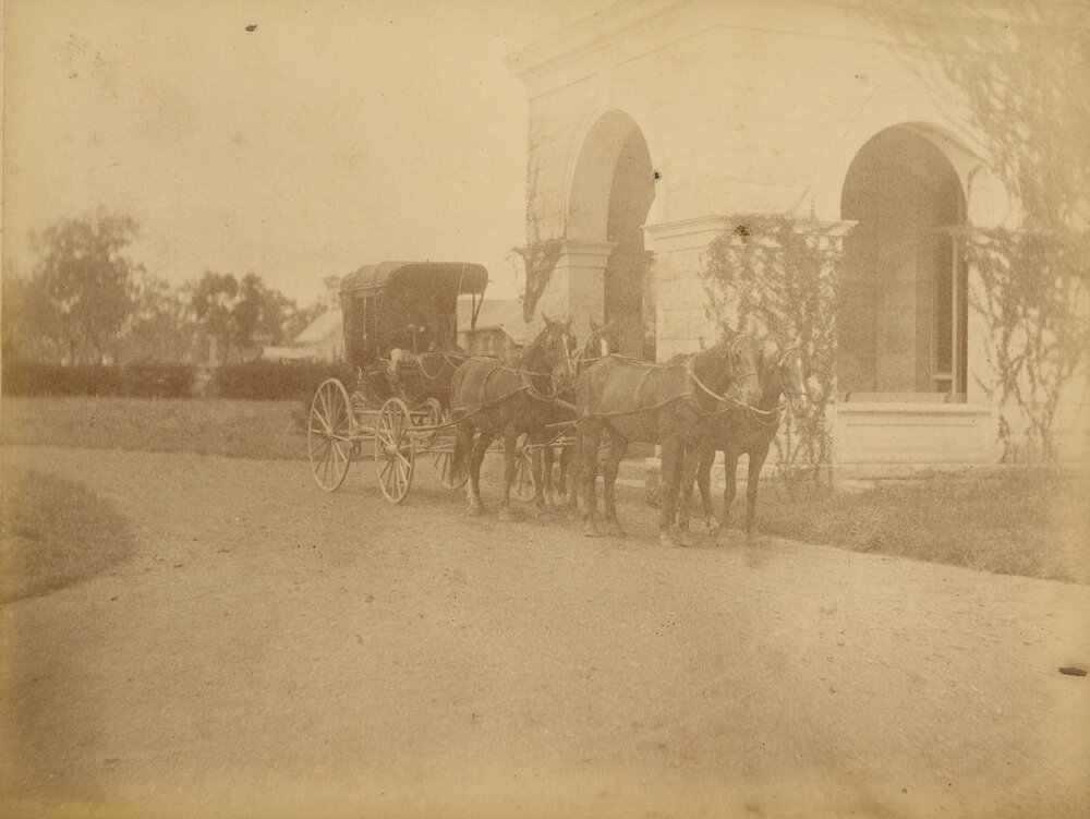 Horse drawn buggy at Jimbour House, 1882