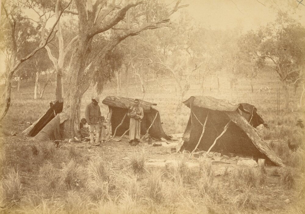 Aboriginal camp at Jimbour Station, 1882 