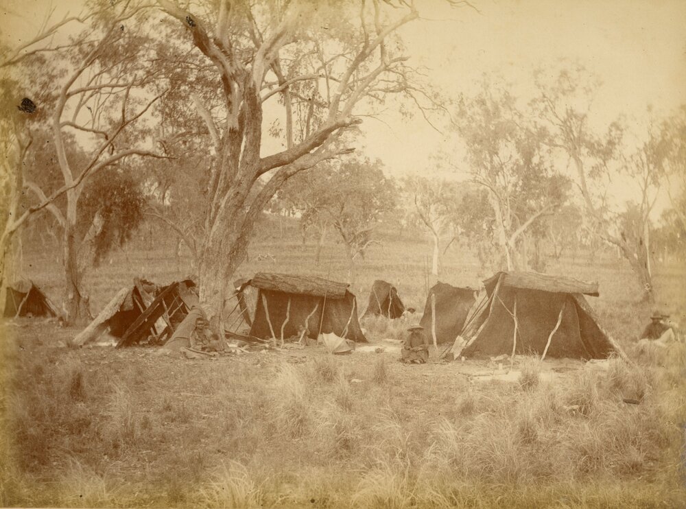 Aboriginal camp at Jimbour Station, 1882 