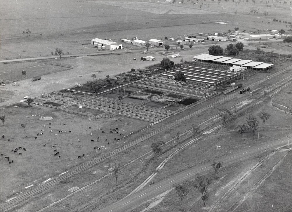 Aerial view of Dalby Saleyards, circa 1960s