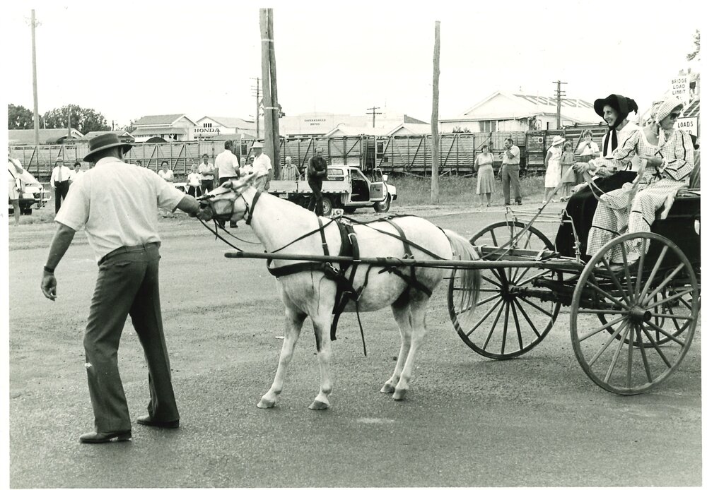 Unwilling pony at the decommissioning of the Chinchilla Overhead Railway Bridge, 1987