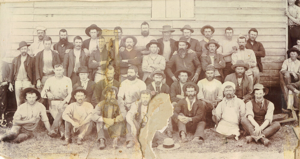 Shearers at Jimbour Station, circa 1894