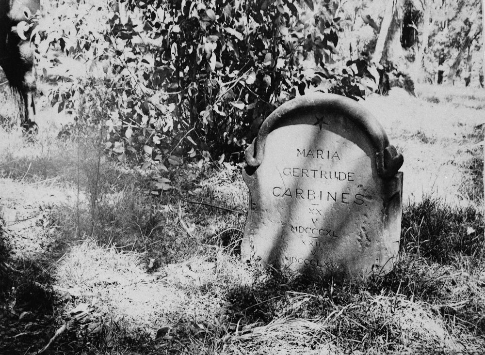 Gertrude Carbines' grave in the Bunya Mountains, circa 1920