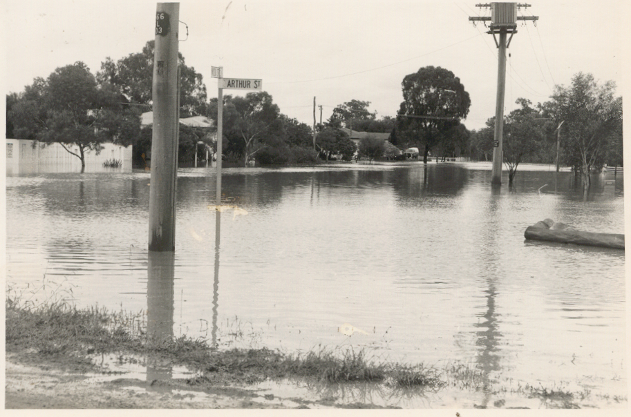 Flooding in Arthur Street, Dalby, 1983