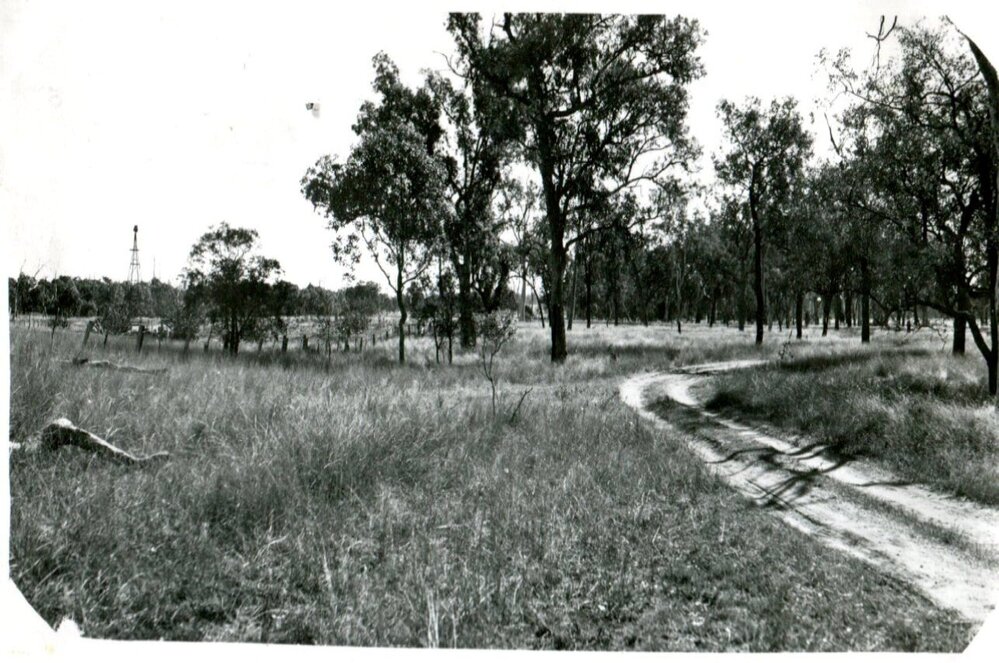 The Main Road prior to roadworks, Guluguba, circa 1935