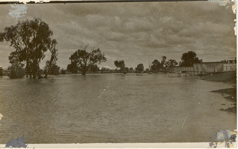 Myall Creek flooding, Dalby, 1917
