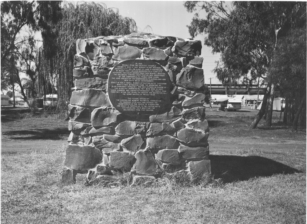 Cactoblastis Memorial in Dalby, 1965