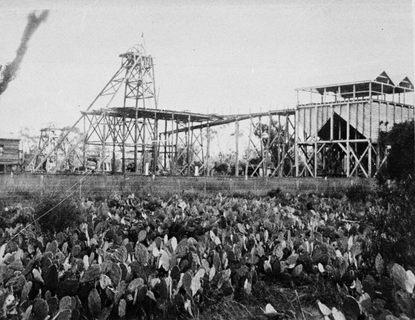 Warra Coal Mine, 1915