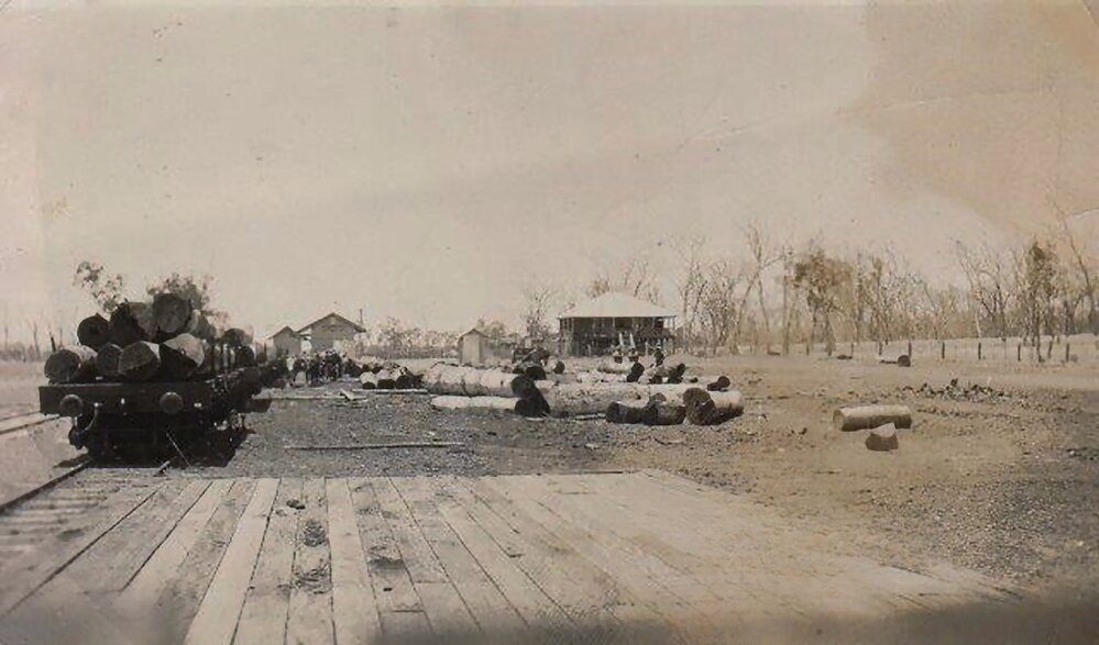 Logs being loaded at Kowguran Siding, circa 1920