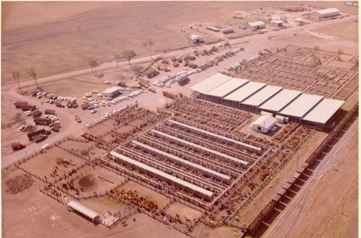 Aerial view of Dalby Saleyards, 1964