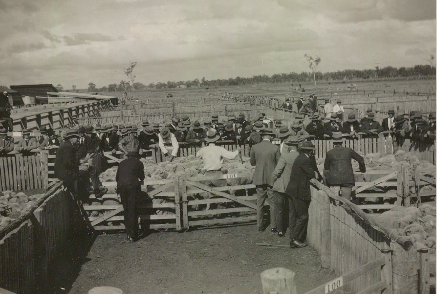 Sheep sale, Dalby, 1920