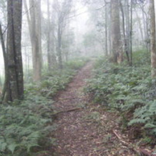 Russell Park