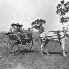 Three ladies in a buggy, no location, no date