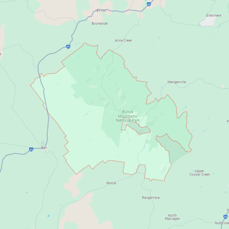 Bunya Mountains 