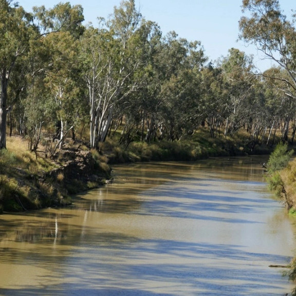 Condamine River