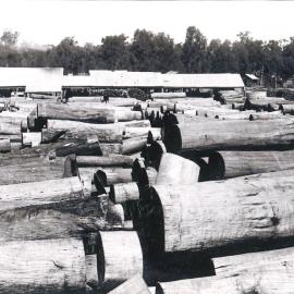 Logs at the Barakula Sawmill, 1927