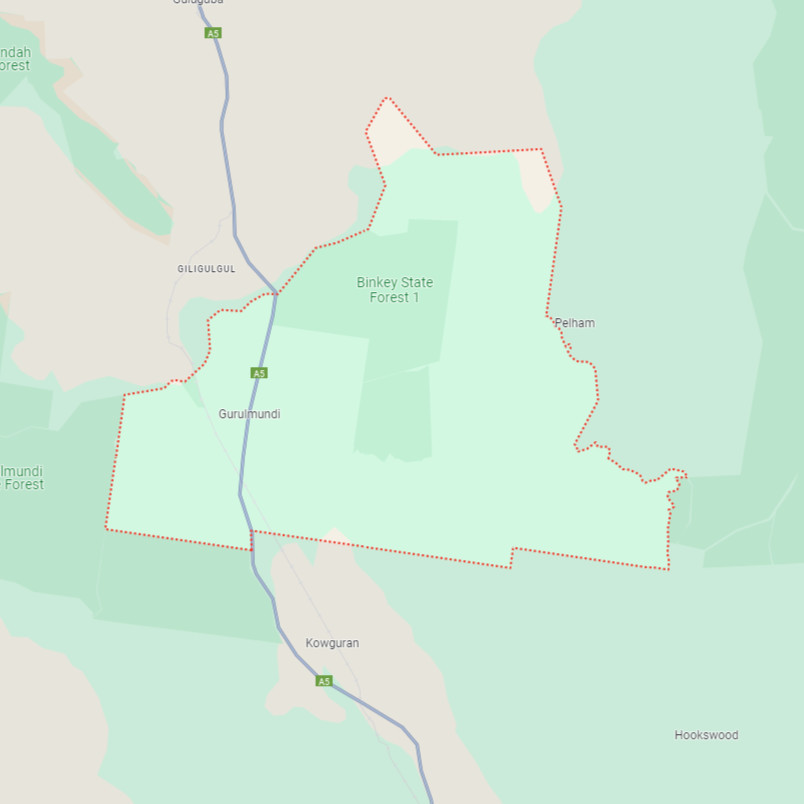 Gurulmundi 