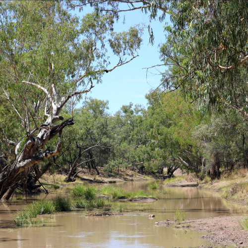 Moonie River