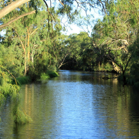 Myall Creek
