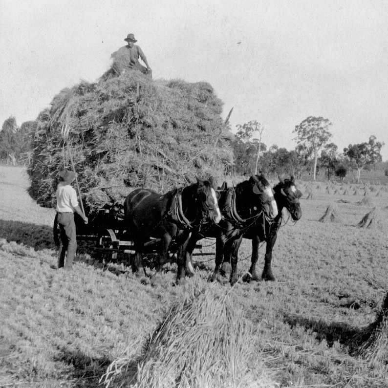 Agriculture